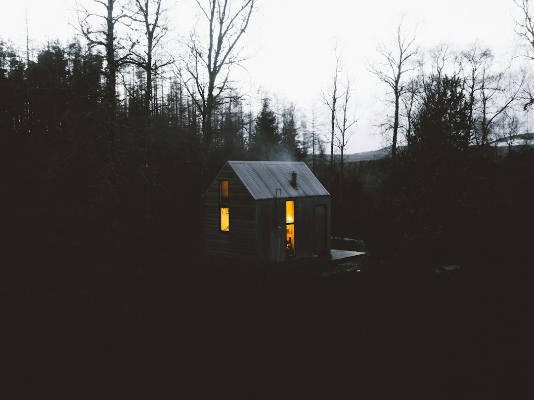 Visual illustration for Off-Grid Tiny House Automation for Artisanal Woodworkers common problems