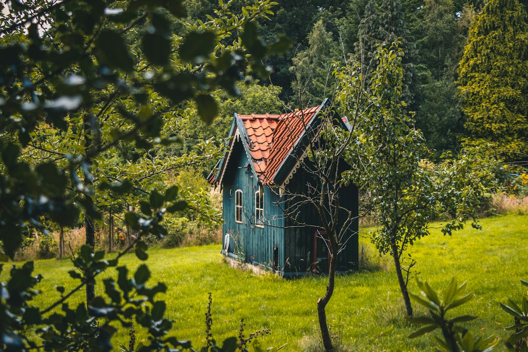 Visual illustration for Off-Grid Tiny House Automation for Artisanal Woodworkers critical mistakes