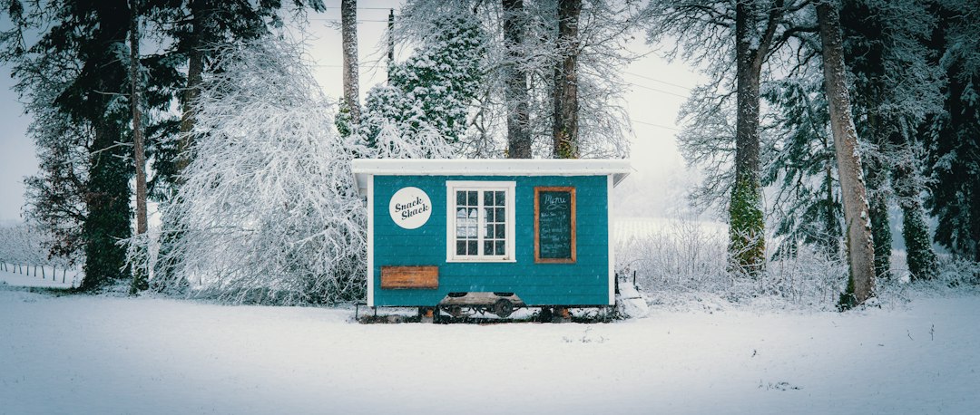Visual representation of how Off-Grid Tiny House Automation for Artisanal Woodworkers works