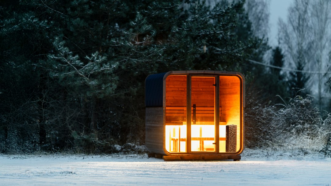 Visual representation of Off-Grid Tiny House Automation for Artisanal Woodworkers future trends